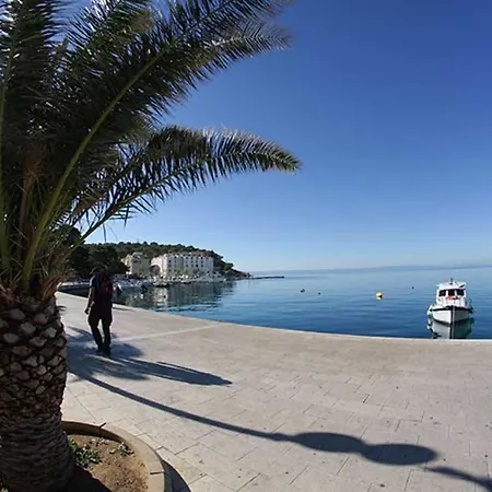 Bekavac Osejava Makarska