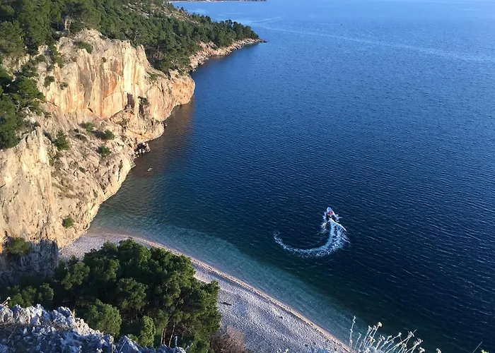 Bekavac Osejava